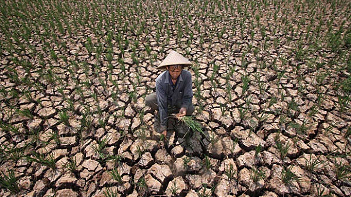 Vietnam Bersiap Hadapi Super El Nino, Risiko Kekeringan Parah dan Intrusi Air Asin Mengancam Hingga 2027