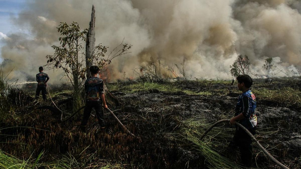 Dua Belas Tersangka Ditetapkan dalam Kasus Kebakaran Hutan di Kalimantan Tengah