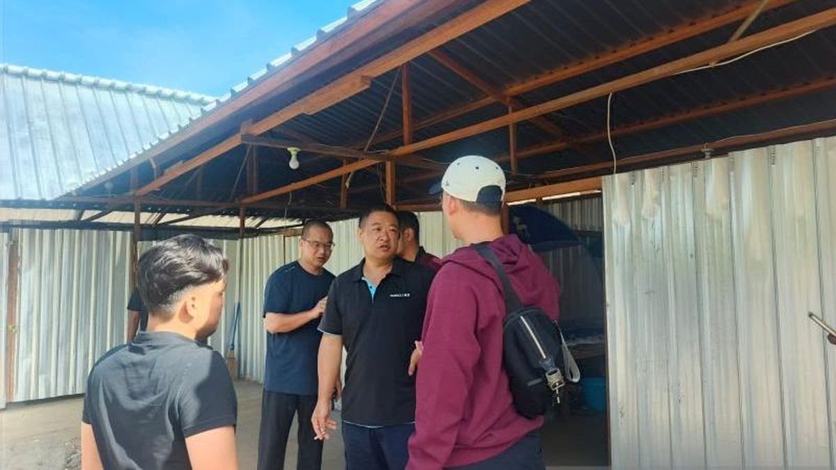 Deportasi Mengancam 15 Warga Negara China yang Bekerja di Tambang Emas Gunung Botak