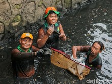 Penangkapan 6,9 Ton Ikan Sapu-sapu di Lima Wilayah Jakarta Hari Ini