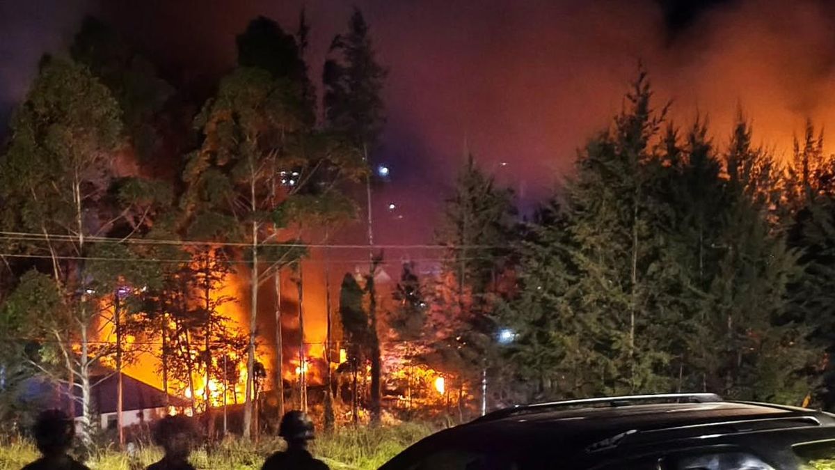 Kerusuhan di Puncak Papua: Tujuh Kantor Pemerintah Terbakar