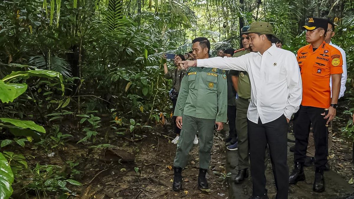 ---
Pemeriksaan Lima Pegawai Kementerian Kehutanan dalam Kasus Korupsi PT TPL

---
