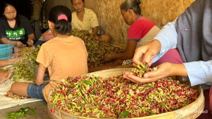 APCI Menolak Standarisasi Kemasan Rokok, Nasib 1,5 Juta Petani Cengkeh Terancam