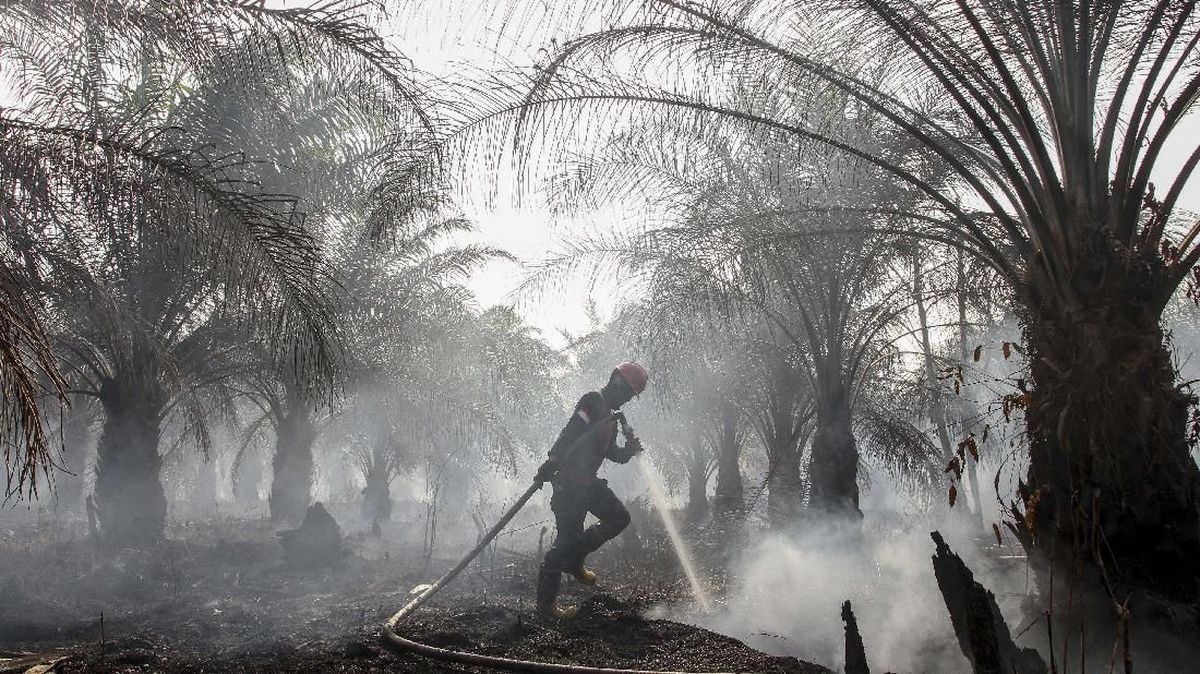 Bareskrim Menetapkan 72 Tersangka dalam Kasus Kebakaran Hutan dan Lahan