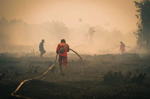 Kebakaran Hutan Masih Meluas di Enam Provinsi Indonesia