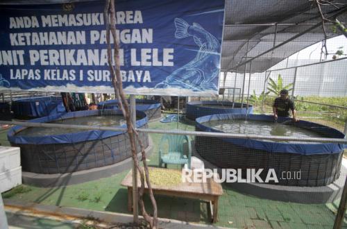 Pencapaian Kemenimipas Dua Tahun: Program Ketahanan Pangan Dikenal Efektif