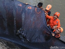 ---
DKI Jakarta Terus Berupaya Menangani Penjualan Sapu-sapu: 10 Ton Disita, Penjual Mendapatkan Edukasi

---