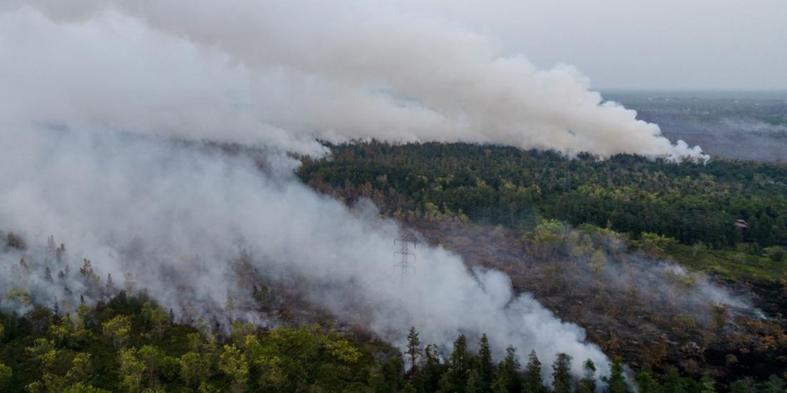 Greenpeace Bongkar 52 Perusahaan yang Terkait Dampak Kebakaran Hutan di Indonesia, Malaysia dan Singapura Ikut Disorot