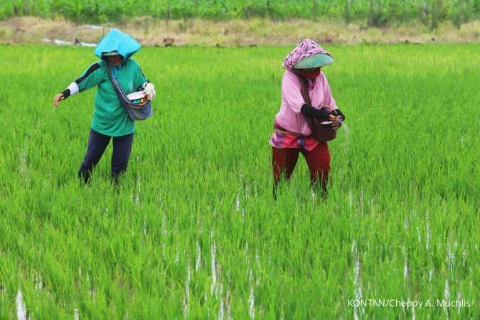 Pemerintah Tingkatkan Infrastruktur Air untuk Hadapi El Nino dan Lindungi Produksi Pangan