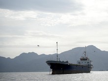 India Mengajukan Protes Terkait Insiden Penembakan Kapal di Selat Hormuz oleh Iran