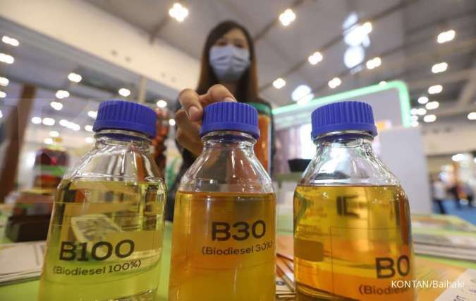 Peningkatan Produksi Biofuel Global: Indonesia dan Negara Lain Berkolaborasi
