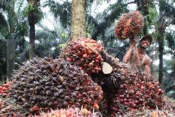 Indonesia Berambisi Menjadi Penentu Harga Komoditas Global, Namun Tantangan Besar Mengintai