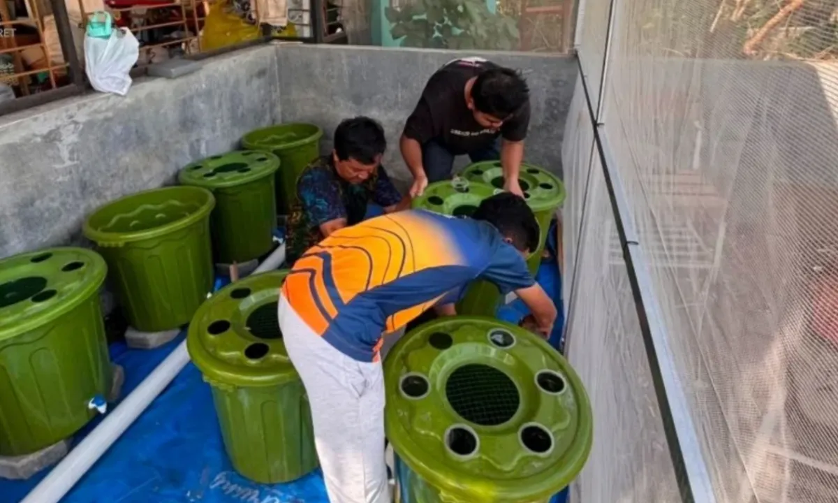 Inovasi Berkelanjutan di Kampus: Tim Eco Juris UNS Ciptakan Rumah Budidaya Maggot-Lele dengan Dukungan SIAP DARLING