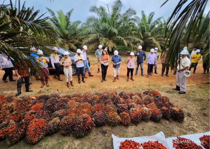 Tantangan Penerapan EUDR: Traceability Sawit pada Pekebun Swadaya