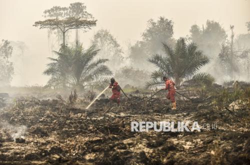 Kebakaran Hutan Masih Mengancam, 1.500 Hektare Lahan Terbakar di Indonesia