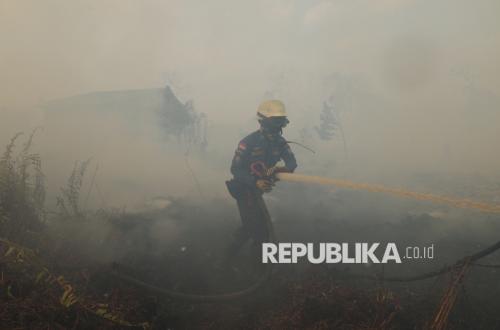 Kebakaran Hutan Terus Meluas, 319 Hektare Lahan di IKN Terkena Dampak