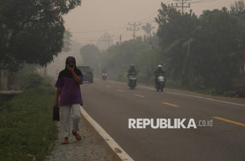 Bantuan Beras untuk Korban Karhutla di Kalimantan Diperlukan Segera