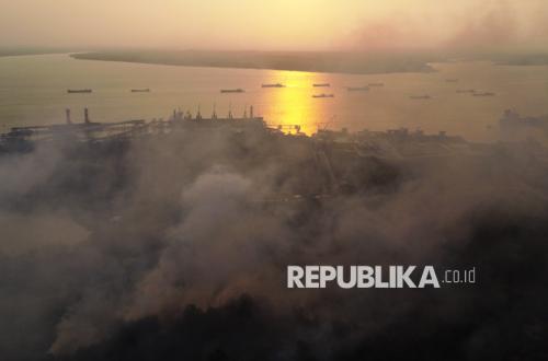 Kebakaran Hutan Meluas hingga Papua, 2.496 Hektare Terbakar