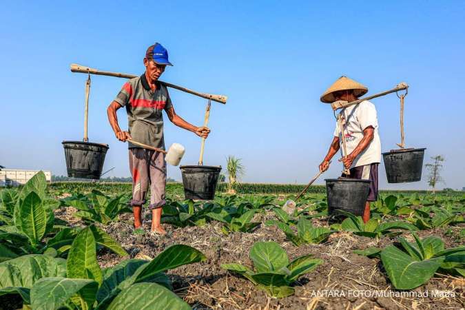 Kementerian Pertanian Tingkatkan Kerja Sama Tembakau, Menjangkau Lebih dari 10.000 Petani di Jawa Tengah