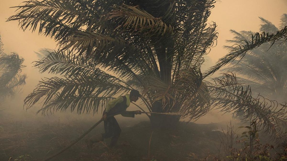 KLH Ungkap 32 Kasus Kebakaran Hutan dan Lahan Masih Belum Tuntas