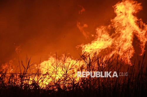 KLH Tindakan Tegas, Segel 19 Perusahaan Terkait Kebakaran Hutan