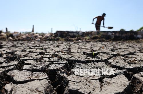 Prediksi Mengkhawatirkan: El Nino Diperkirakan Menyebabkan 19.400 Kematian di Indonesia