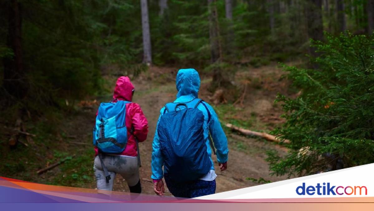 Mahasiswa ITB Hilang Saat Mendaki Gunung Puntang di Bandung