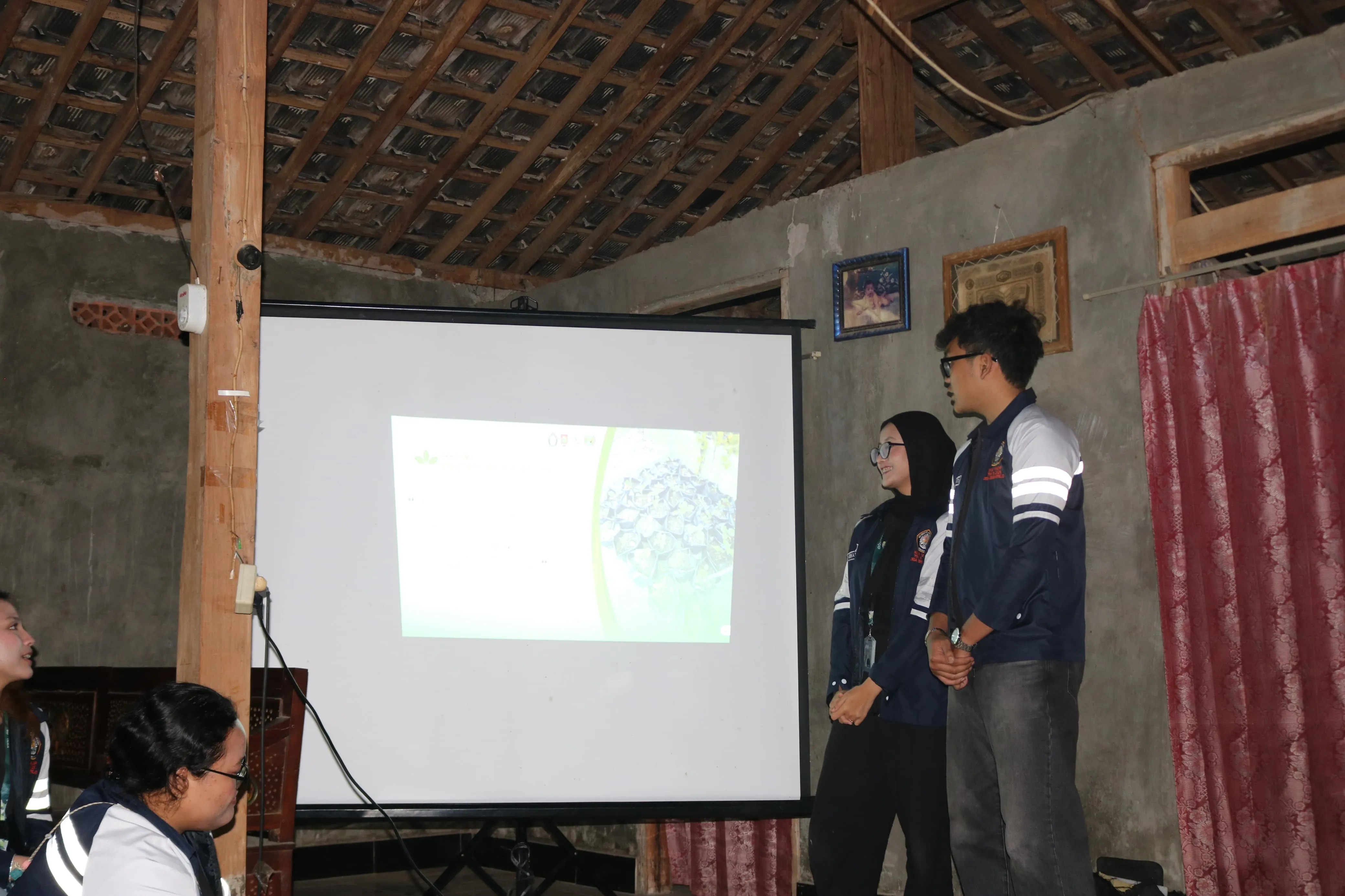 Mahasiswa KKN Undip Transformasi Pekarangan Warga Sendangrejo Menjadi Lumbung Pangan dengan Pupuk Kandang