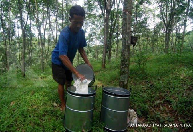 PTPN III Targetkan 70% Produksi Karet Premium untuk Memperkuat Bisnisnya