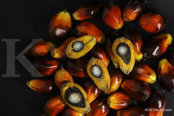 Potensi Minyak Sawit dalam Memenuhi Kebutuhan Minyak Nabati Global di Tahun 2050