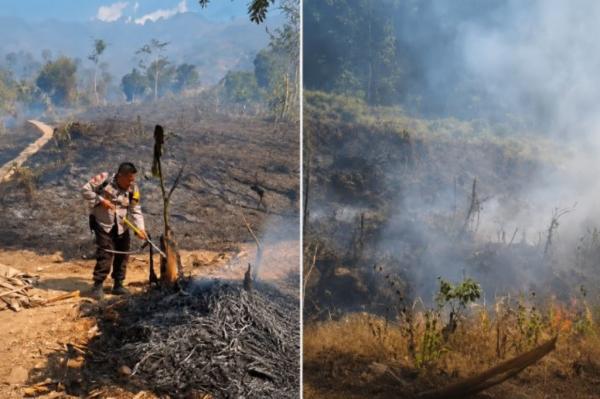 Kebakaran Hutan di Indonesia: Ancaman Tersembunyi di Bawah Permukaan