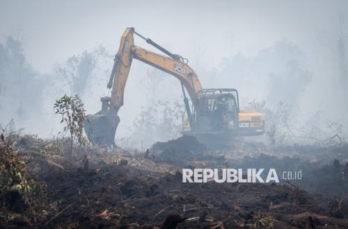 Kolaborasi Semua Pihak Diperlukan untuk Cegah Kebakaran Hutan dan Lahan
