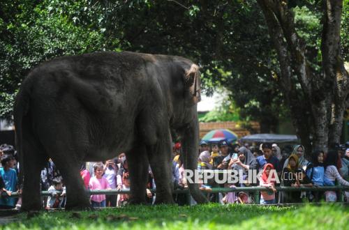 Tiket Masuk Ragunan dan Ancol Gratis Selama Tiga Hari untuk HUT Jakarta ke-499