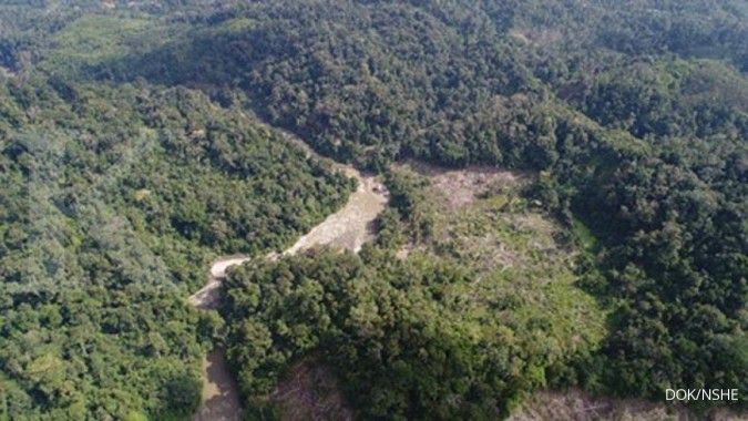 Proyek PLTA Batang Toru Meningkat Pesat, Capaian Terkini Mencapai 89,49%