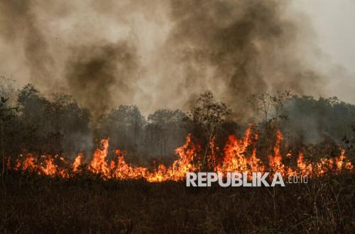 Polisi Menetapkan 245 Tersangka Individu Terkait Kebakaran Hutan dan Lahan