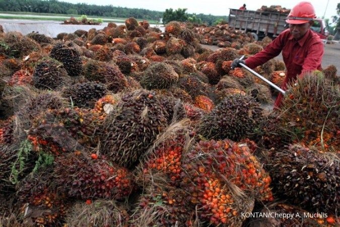 Produksi CPO Diprediksi Menurun 5 Juta Ton Akibat El Nino, Fokus pada Program B50