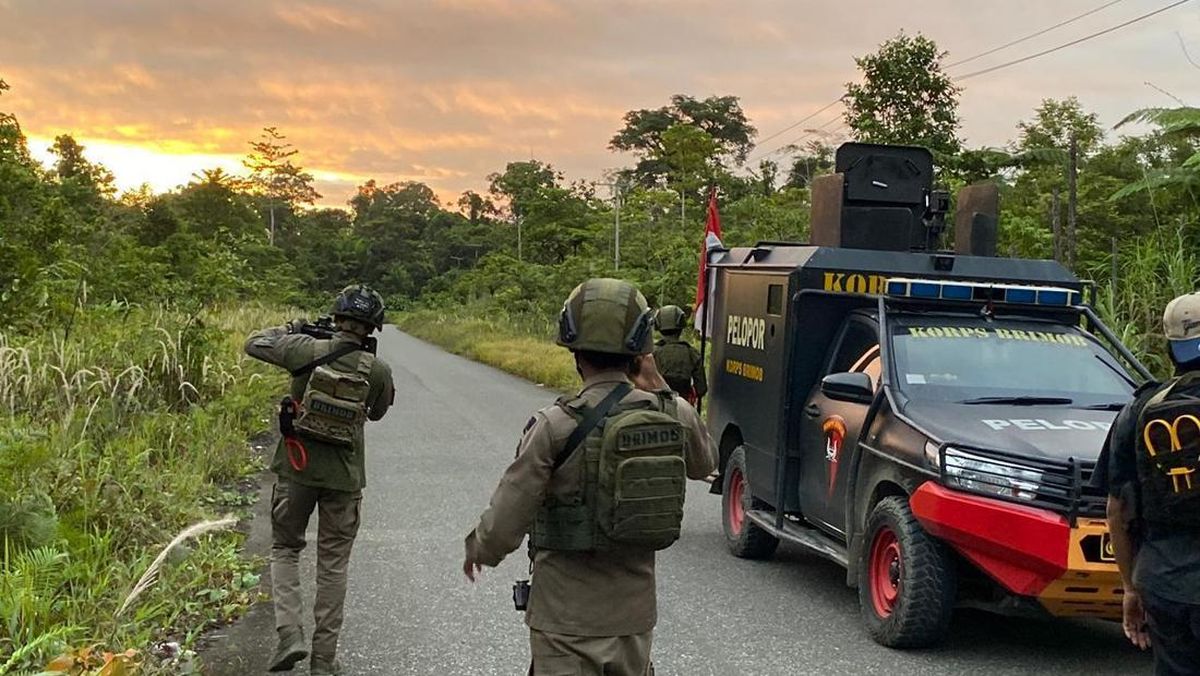 Penembakan Komandan KKB oleh Satgas Cartenz di Yahukimo