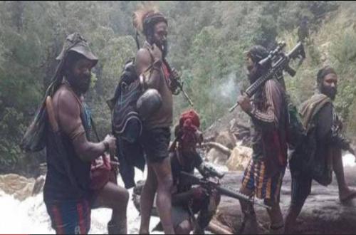 Seruan Staf Khusus Menhan untuk Menghentikan Kekerasan di Papua