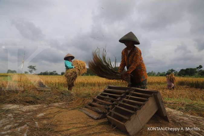 Kolaborasi Syngenta dan KTNA untuk Meningkatkan Produktivitas Pertanian