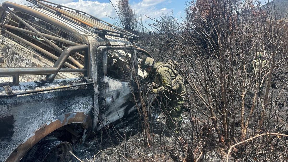 Kekerasan OPM di Papua: Sopir Lajuran Dibakar Bersama Kendaraannya