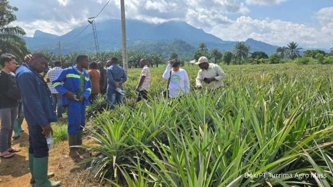 Turrima Agro Menggali Potensi Pembangunan Pabrik Pupuk Organik di Kamerun