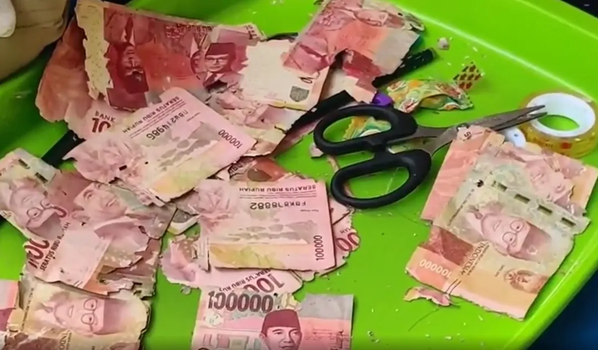---
Uang yang Dimakan Rayap: Apakah Dapat Ditukar di Bank Indonesia? Ini Syarat dan Prosedurnya

---