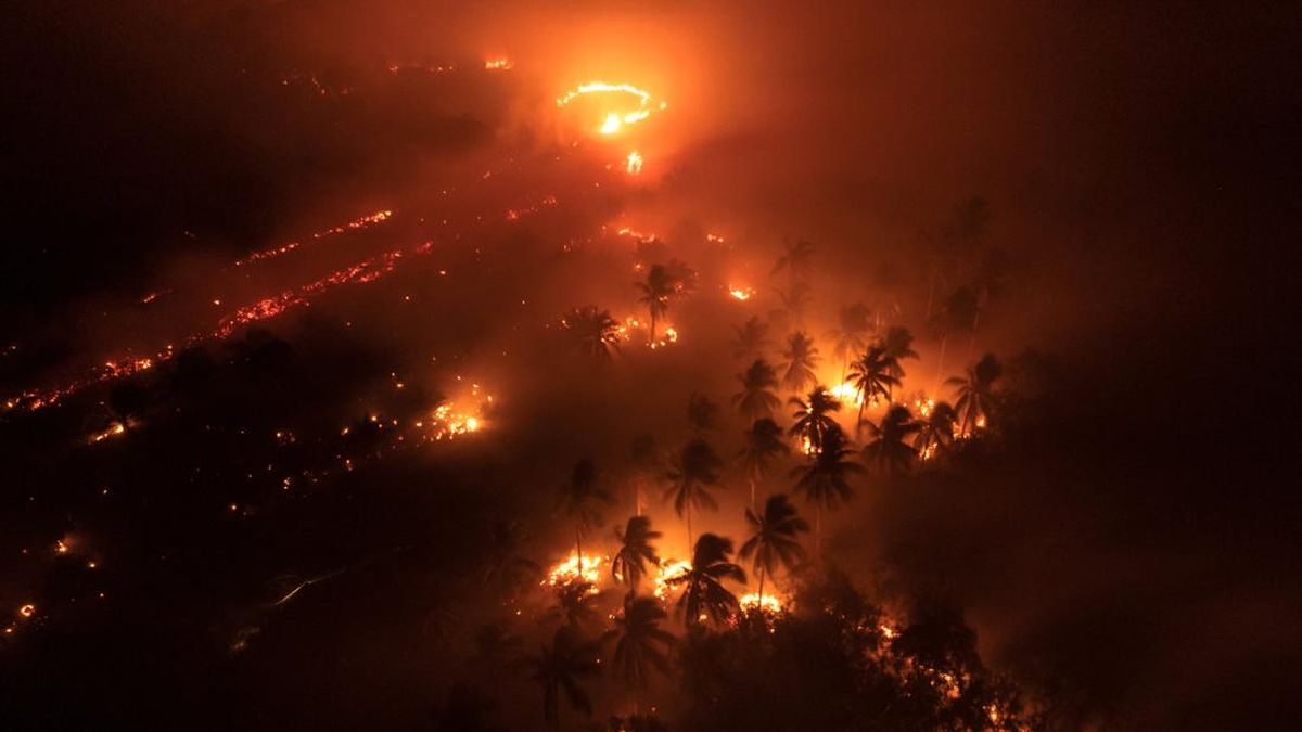 Dugaan 19 Perusahaan Terlibat Kebakaran Hutan, Kasus ISPA Meningkat Signifikan