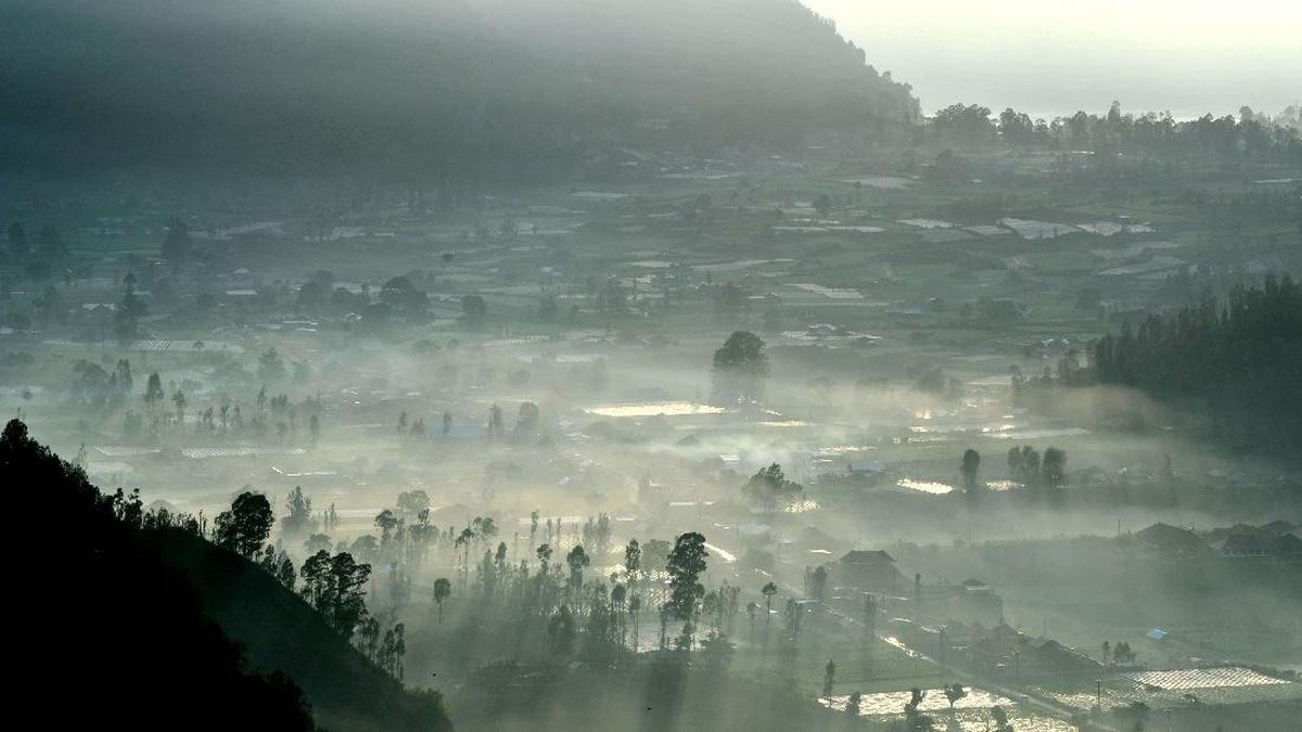 WNA Viral Tawarkan Lahan 54 Are di Kintamani, Bali